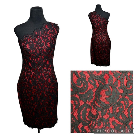 Tadashi Shoji Dress Red Embroidered Lace Sheath SZ 6 Whimsigoth Y2K Christmas - Picture 15 of 16